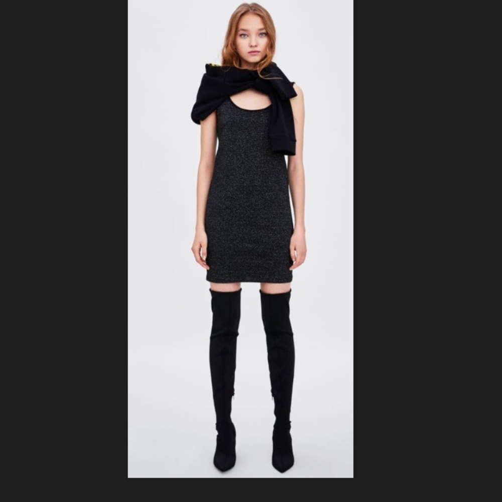 Zara Mini Dress